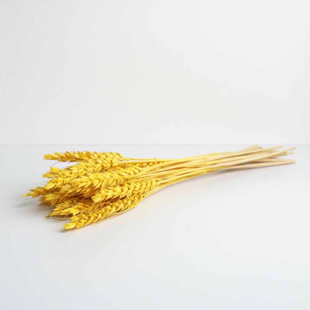 Sušená pšenice žlutá – přírodní svazek klasů do rustikálních aranžmá